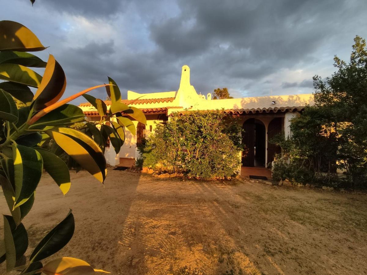 Chia Aloe & Cactus Vila Exterior foto